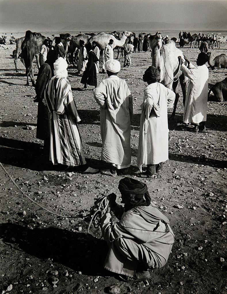 Tuareg on camel market in Morocco, 1960.