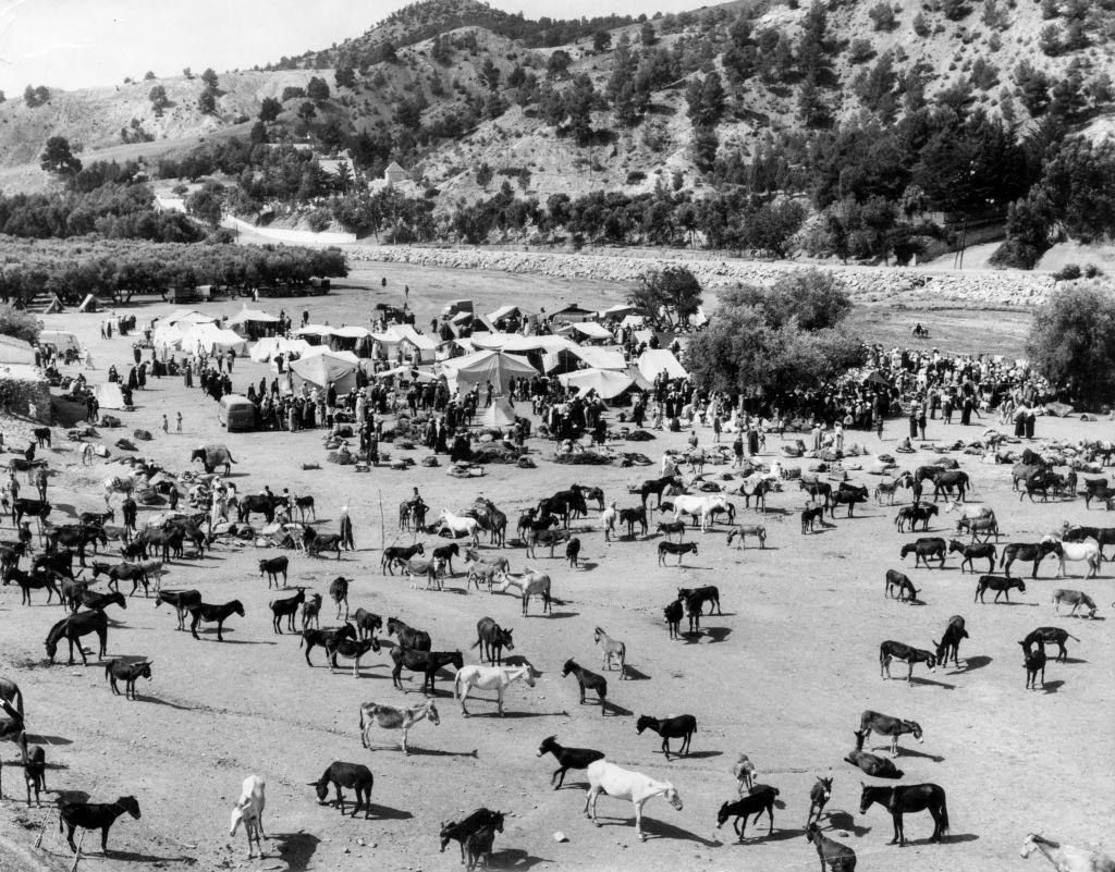 Horse market in the Rif, Morocco, in 1969.