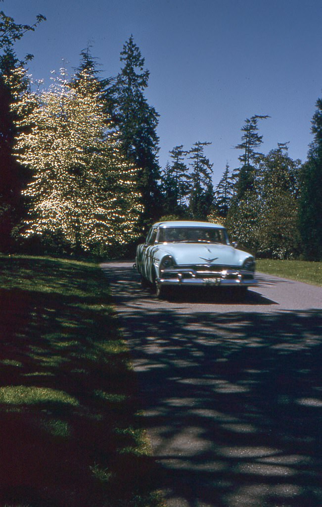 Dogwood Arboretum, 1957
