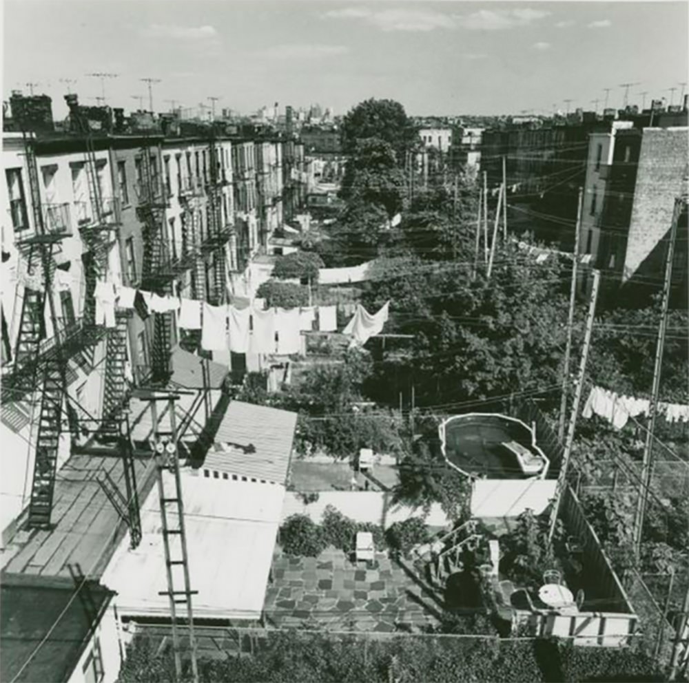 View from the roof of Falcone Funeral Home, 325 Smith Street in Carroll Gardens, July 13, 1978.