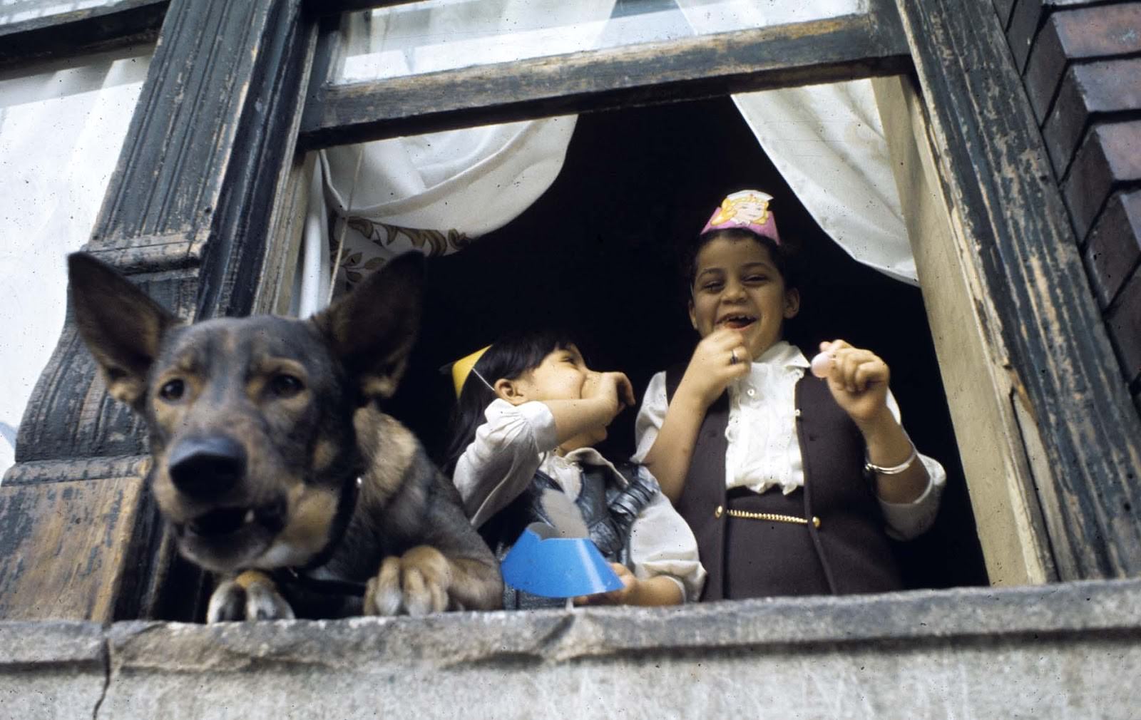 Children with dog, Williamsburg, Brooklyn, 1970.