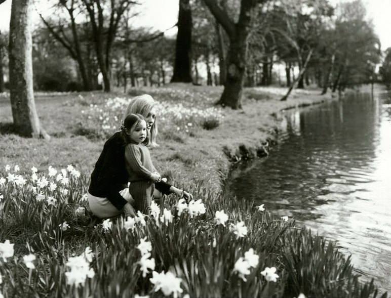 Mother and child among the daffodils on the banks of the Avon River, Hagley Park, Christchurch, September 1971