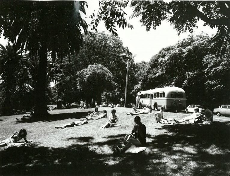Lunch scene, Albert Park, Auckland, November 1972