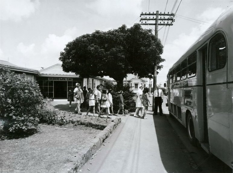 Auckland School for Dental Nurses, Mt Eden, Auckland, October 1970