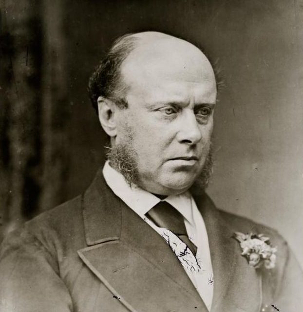 Sir Hercules Robinson, Freeman Brothers Studio, 1872-1879