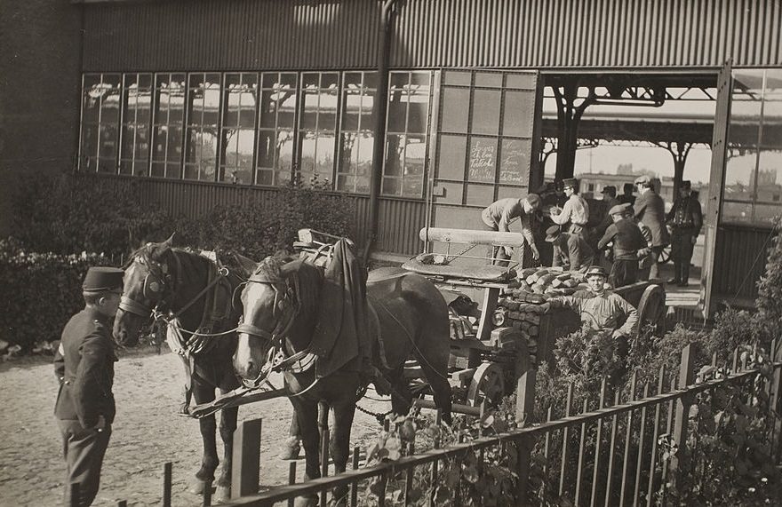 Thousands of loaves of bread being hauled by wagons to various townes where Belgian refugees are kept, 1916.