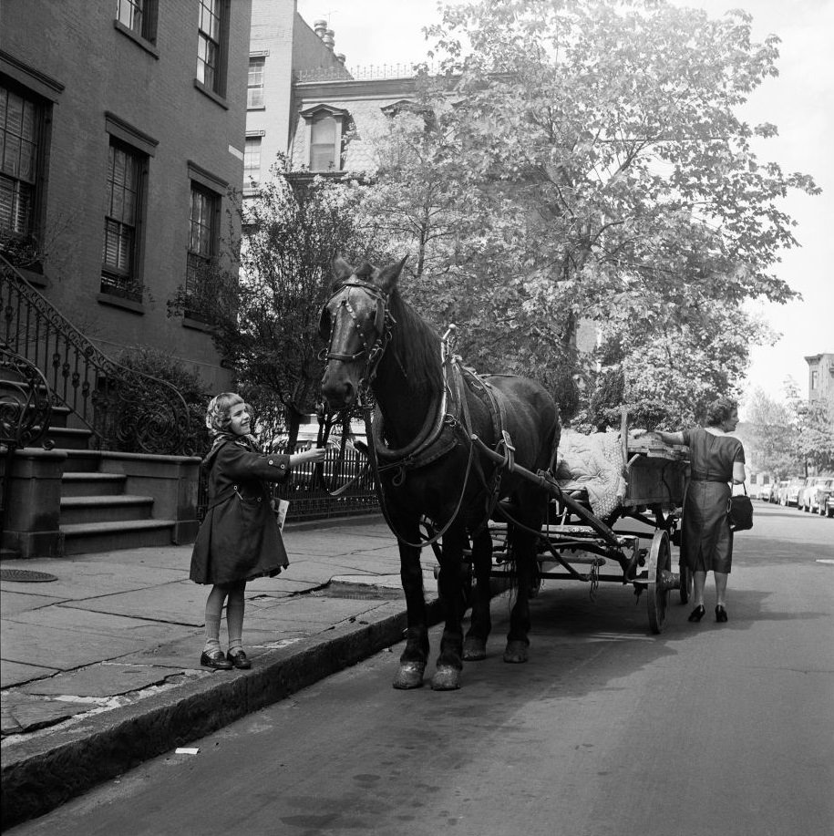 A young girl smiles at a horse that is delivering plants in in Brooklyn Heights, March 1958.
