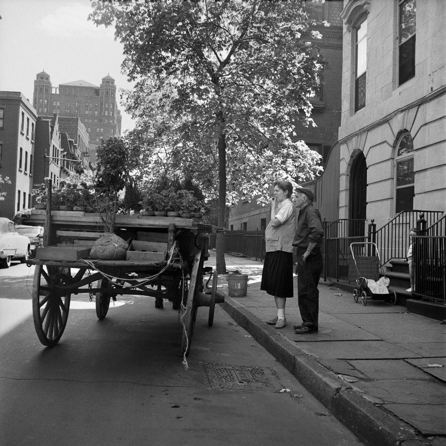 A young child watches as a man delivers plants from a horse-drawn carriage in Brooklyn Heights, March 1958.