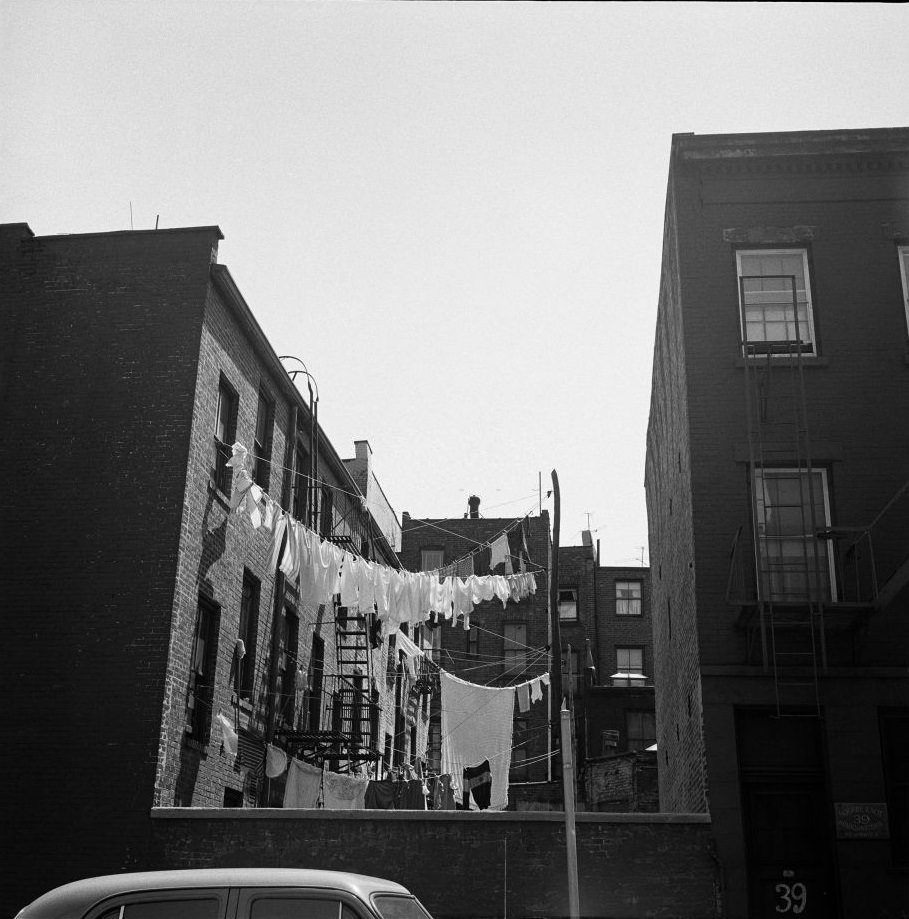 Clothes hang on a clothesline next to P.C. Herwig Co. Square Knotting Design, in Brooklyn Heights, March 1958.