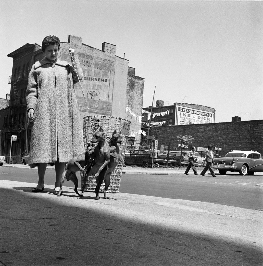 A woman walks her dogs with an Eisenhower-Nixon billboard in the background in Brooklyn Heights, March 1958.