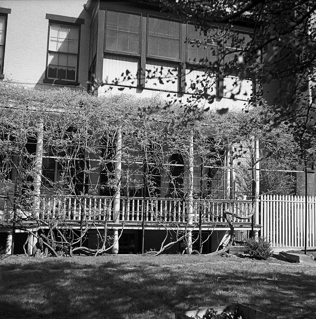 A view of the rear of Truman Capote's house at 70 Willow Street in Brooklyn Heights in March 1958.