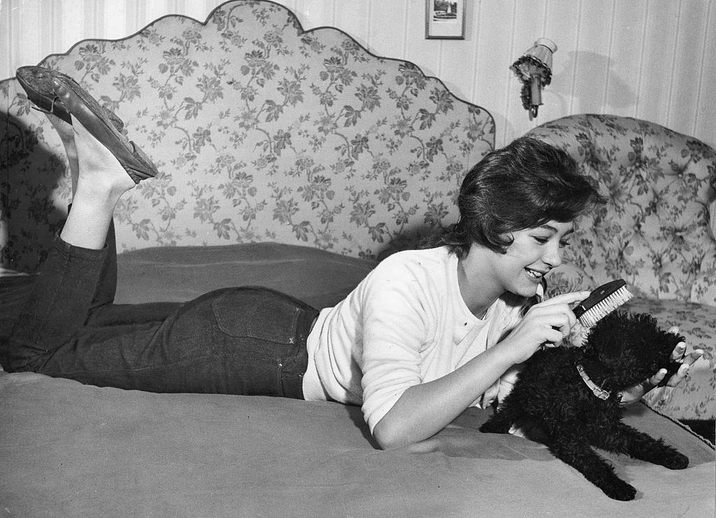 Christine Kaufmann brusing her poodle, 1958.