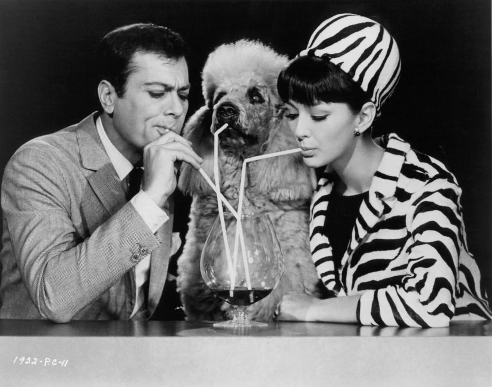 Christine Kaufmann with Tony Curtis and dog, sucking on straws in publicity portrait for the film 'Wild And Wonderful', 1964.