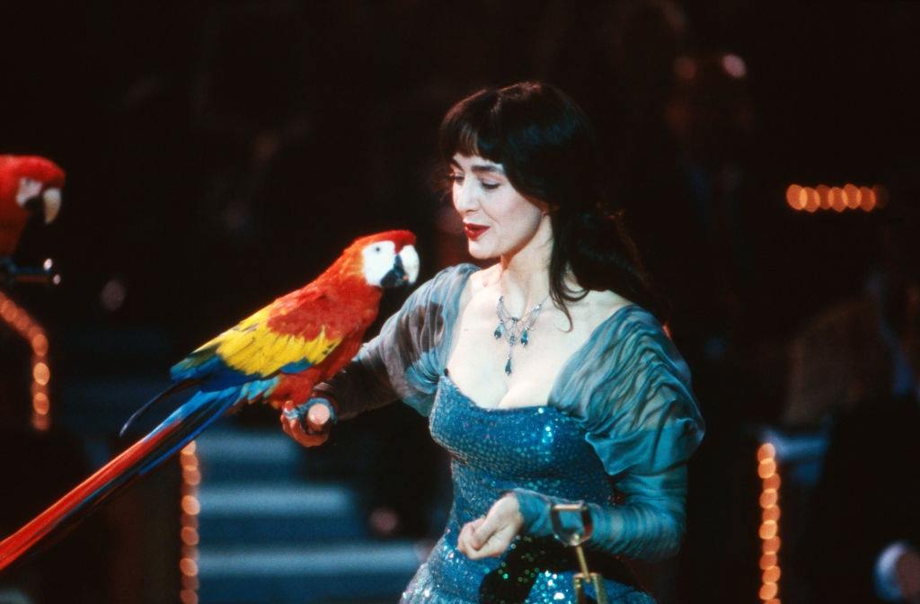 Actress Christine Kaufmann presents a trained parrot in a show, 1989.