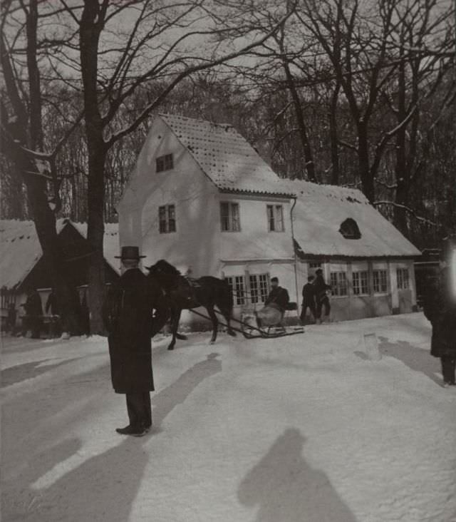 Peter Lieps Hus, Dyrehaven