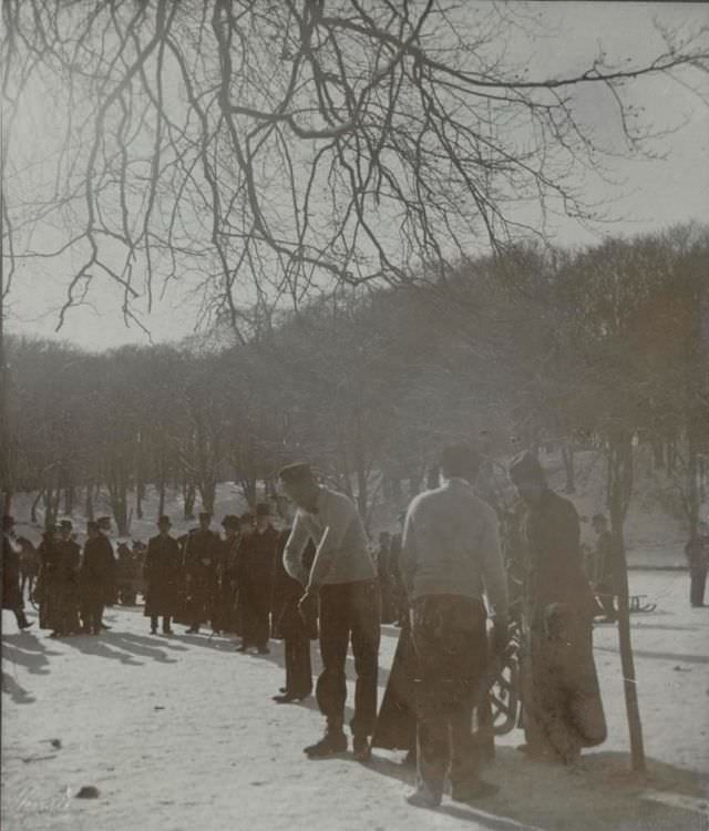 Sledding in Ulvedalene, Dyrehaven