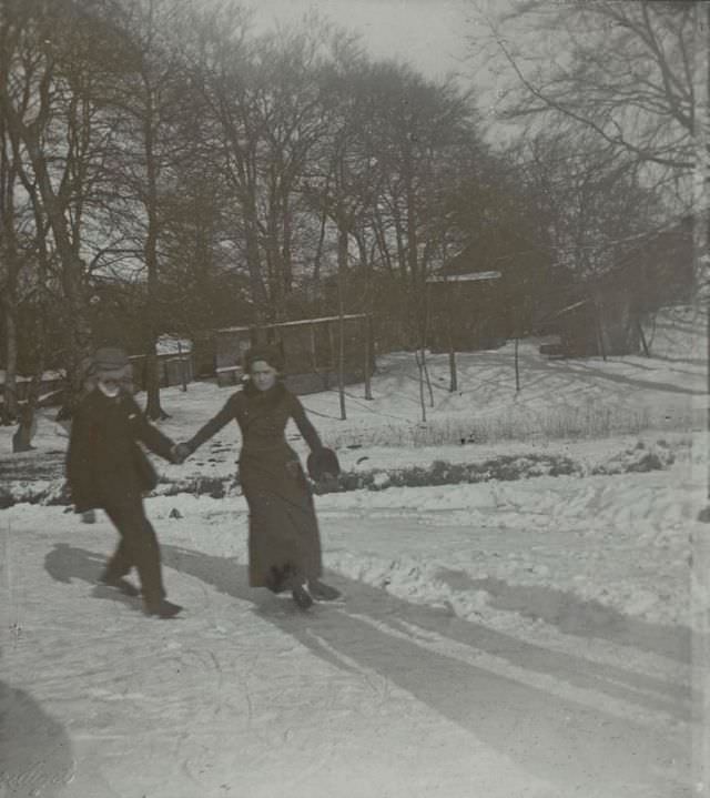 At Fuglsang Lake, Dyrehaven