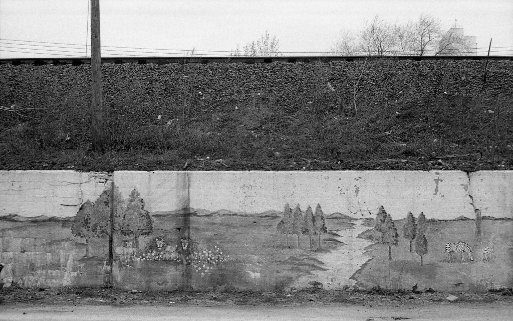 A retaining wall along 45th Avenue covered in street art, in the Corona neighborhood of Queens, 1982.