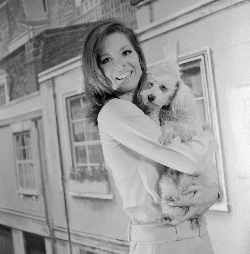 Diana Rigg holding a dog, 1966