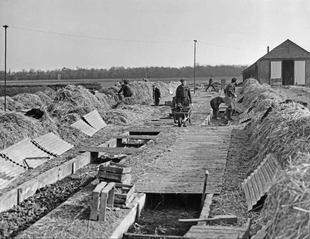 The construction of the new 'airways town' at Stanwell, on the outskirts of London Airport (later Heathrow), 2nd March 1950.