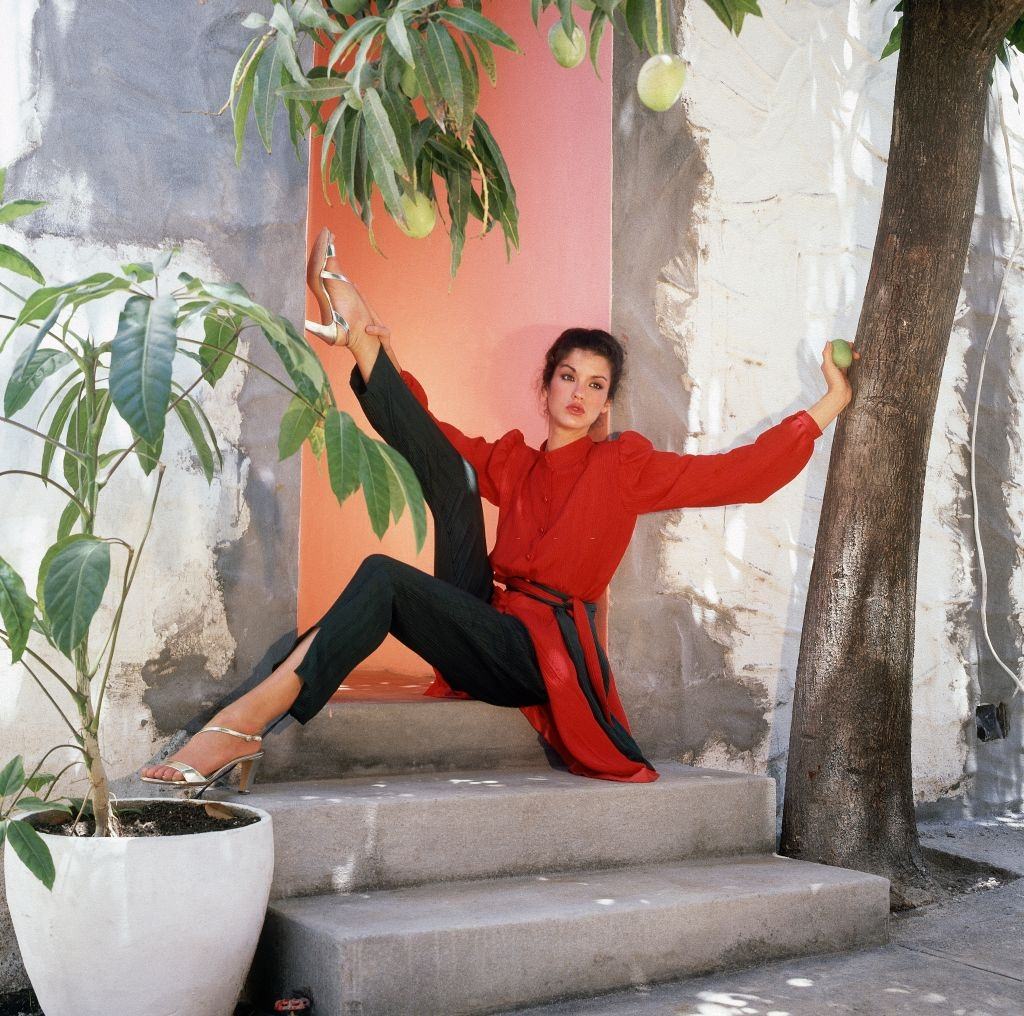 Janice Dickinson wearing a red tunic belted at the waist, grey slim fitting pants and silver high heel sandals, 1979.