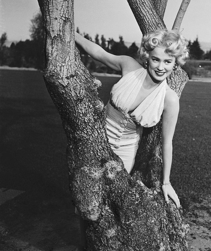 Mamie Van Doren Posing inside tree limbs, 1953.