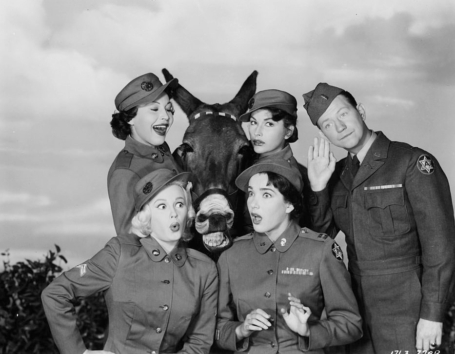 Mamie Van Doren with Julie Adams, Mara Corday, and Donald O'Connor with talking mule pal in publicity portrait for the film 'Francis Joins The WACS', 1954.