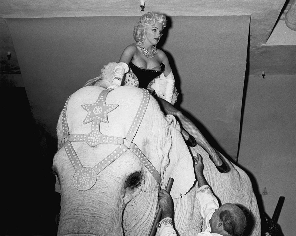 Marilyn Monroe rides on the back of a pink elephant to mark the opening night of the Ringling Brothers Circus at Madison Square Garden, New York City.