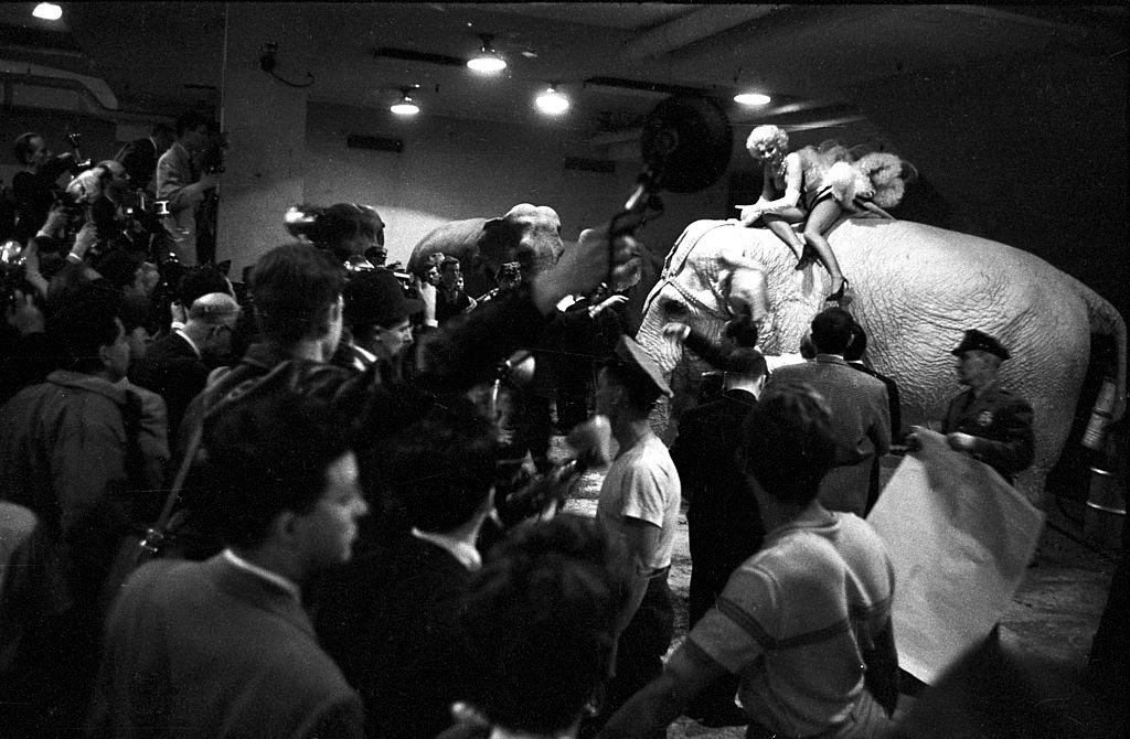 Marilyn Monroe rides a pink elephant in Madison Square Garden.