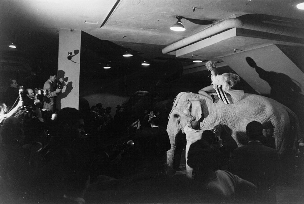 Marilyn Monroe rides a elephant for a circus charity event.