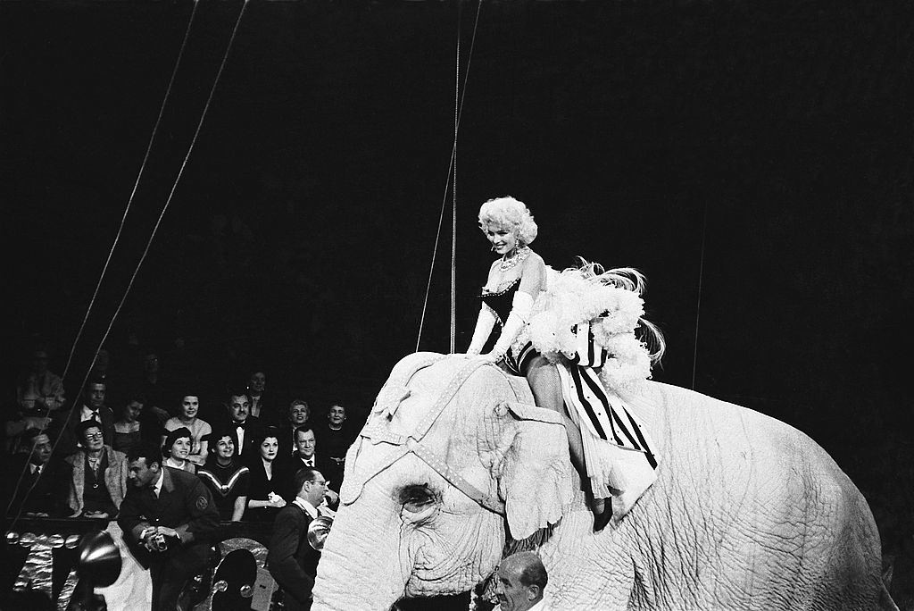 Marilyn Monroe at Barnum Circus riding on the elephant.