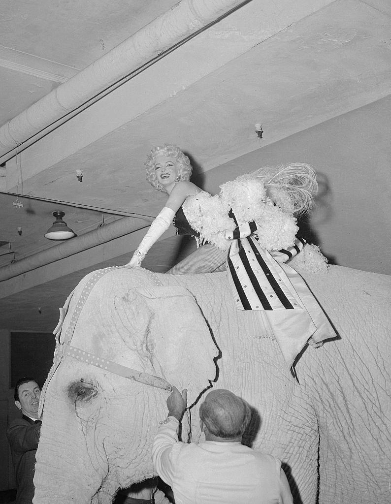 Marilyn Monroe, dressed in circus finery riding on the elephant.