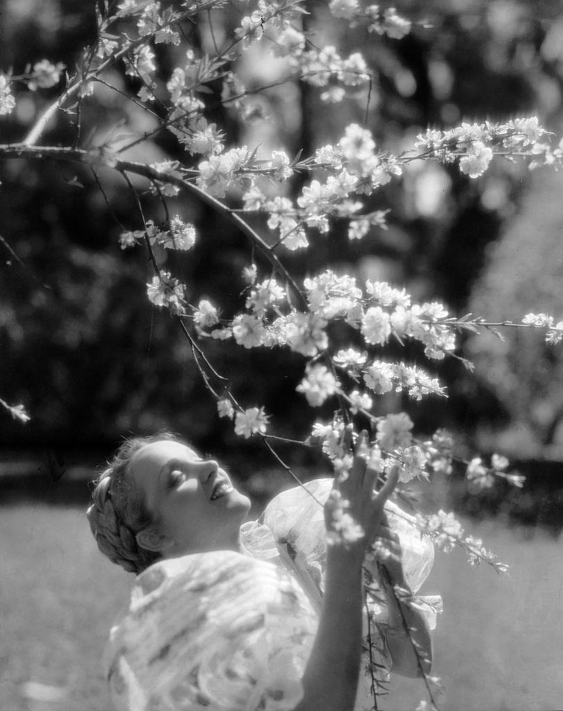 Marlene Dietrich communing with a tree in a scene from the film 'Song Of Songs', 1933.