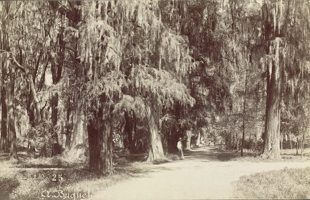 Mexico City, Chapultepec Grove, 1855