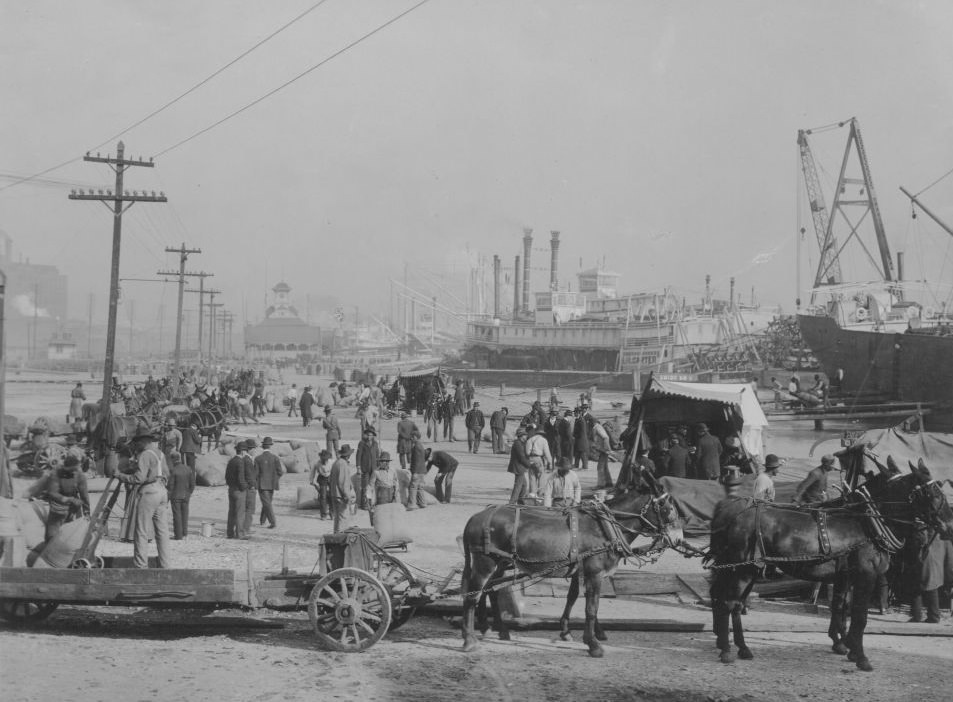 The docks of New Orleans on the Mississippi, with sugar being unloaded from traditional steam boats, 1880.