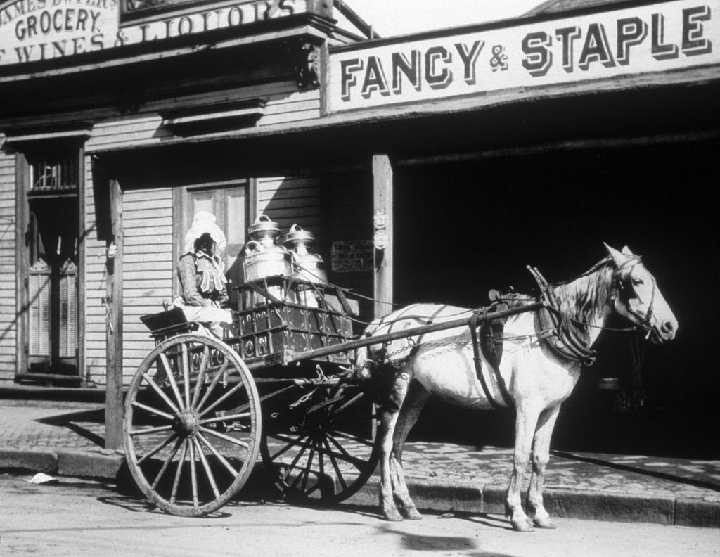 Horse and Buggy Milk Wagon in New Orleans, 1890s.