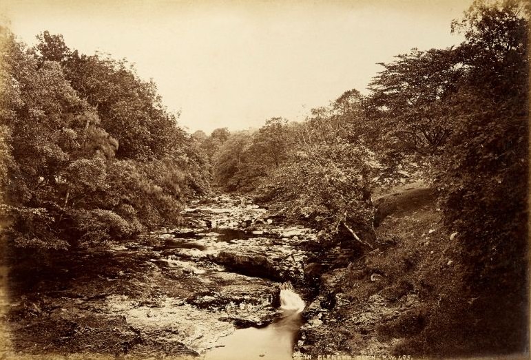 Stream in Glenarm Glen