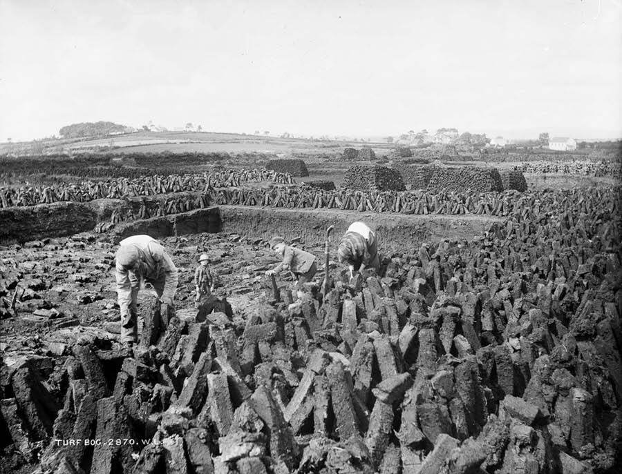 A family cuts turf near Ballymena, 1885.