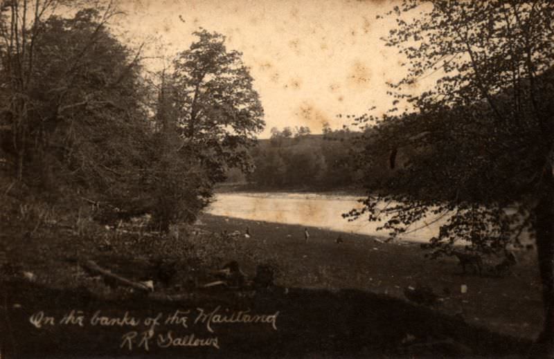 On the banks of the Maitland, Ontario, 1880s.