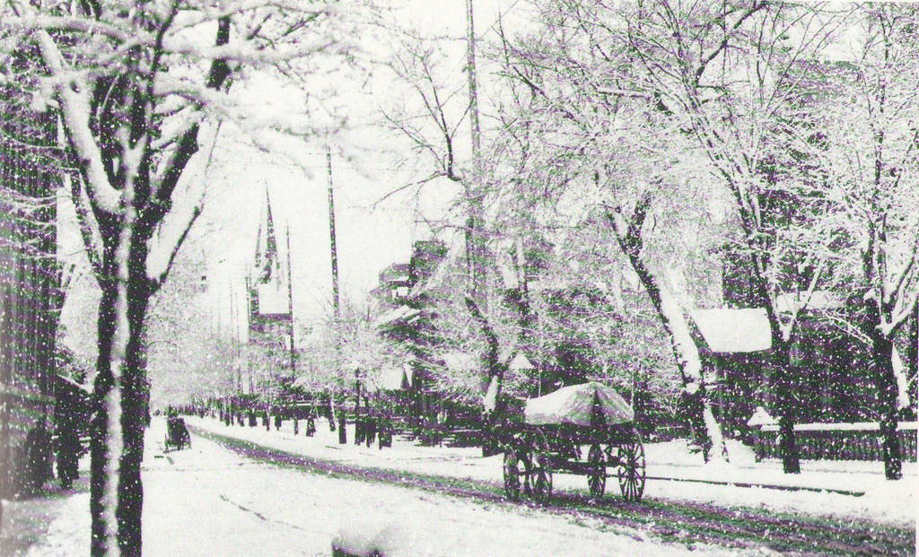 Metcalfe St. on a snowy day, 1890s