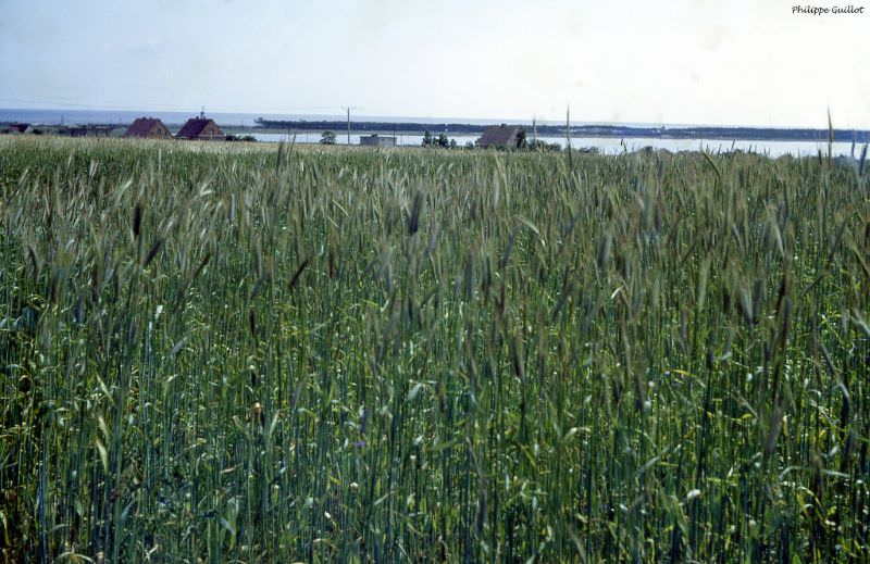 La presqu'île de Hel, sur la mer Baltique, July 1970