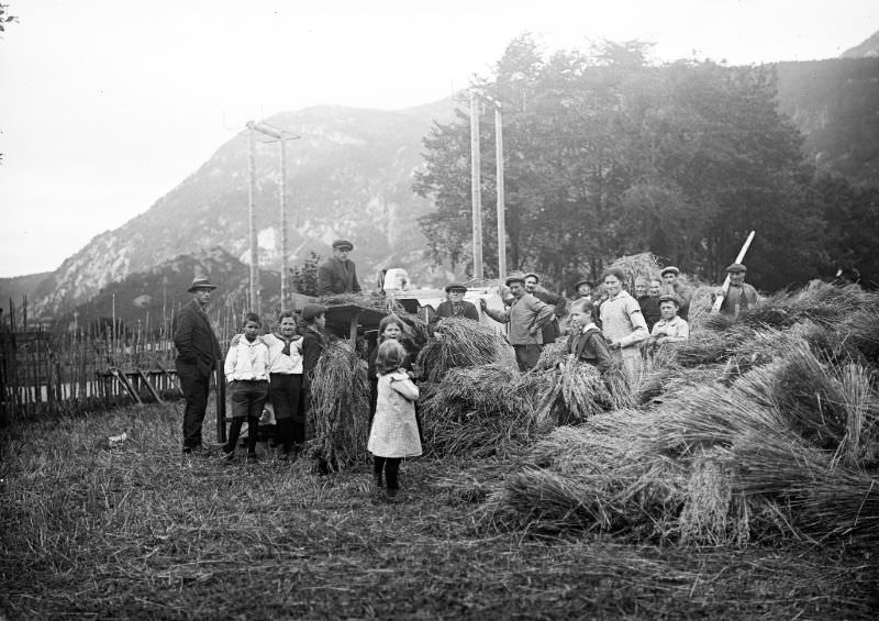Harvesting at Øyrane in Førde municipality.