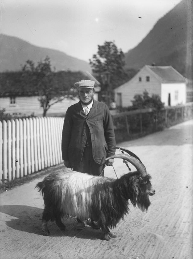 Man and goat