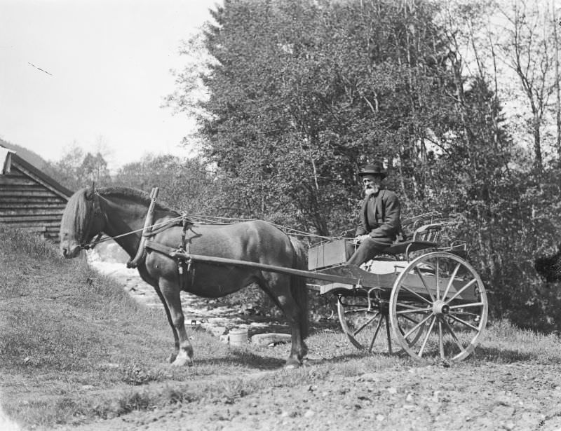 Man with horse and carriage.
