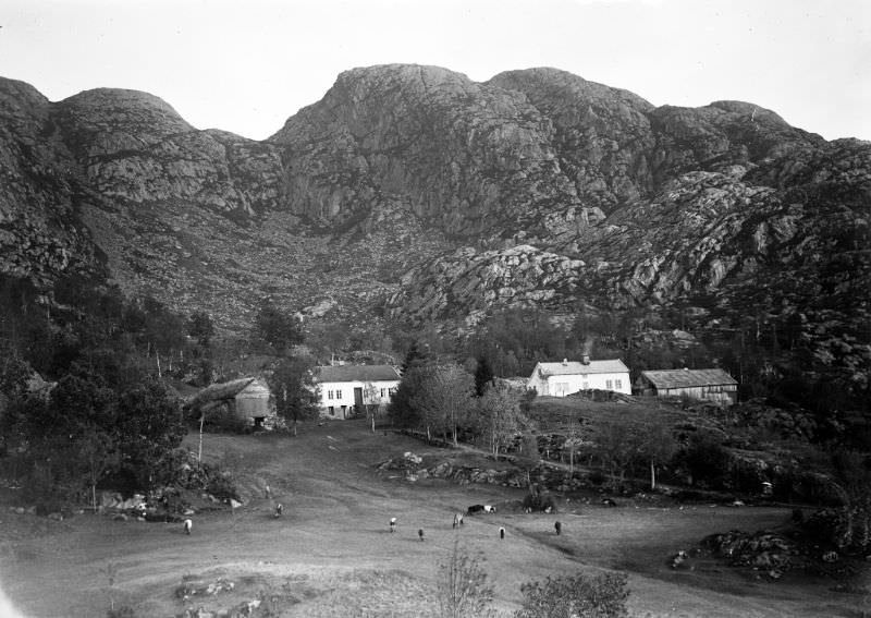 Stevnebø farm in Gulen municipality