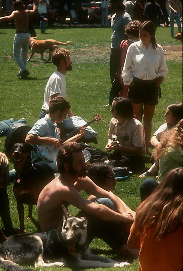 Berkeley Folk Festival, July 1970