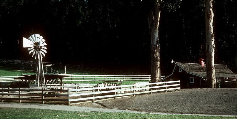 Berkeley Marina, May 1981