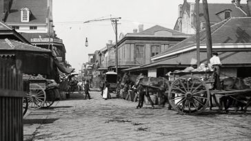Amazing Historic Photos of New Orleans from the Late-19th Century