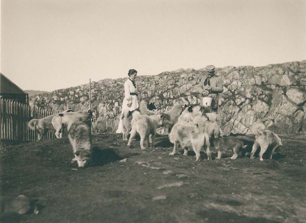 A couple feed dogs in the town of Aasiaat, 1890s