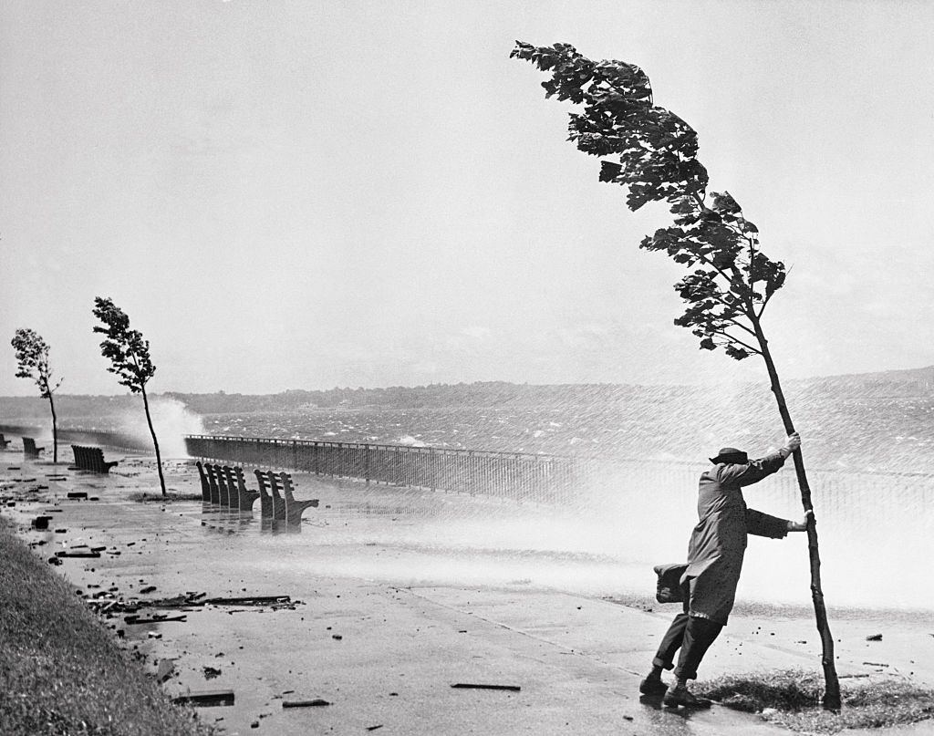 A passerby holds on to a tree for support as hurricane swept waves hammer the sea wall adjacent to the Belt Parkway near 72nd Street in Brooklyn.